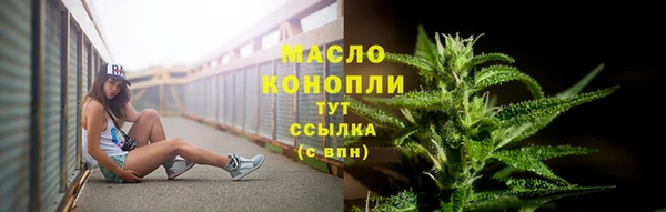 прущие грибы Семикаракорск