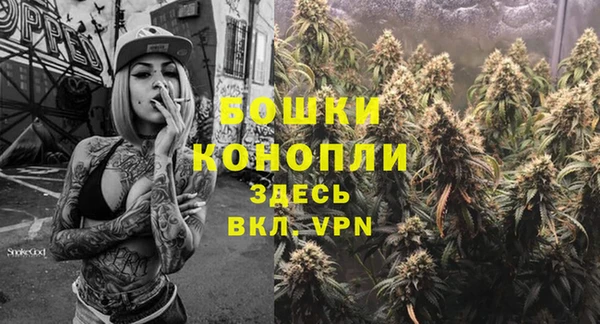 стаф Волоколамск