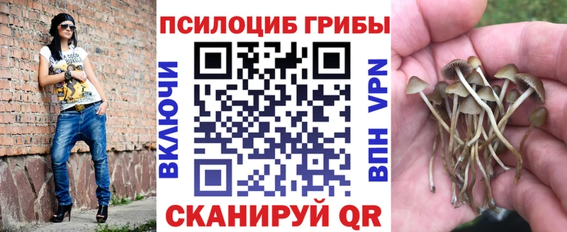Галлюциногенные грибы ЛСД  Жердевка 