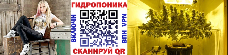 Бошки марихуана LSD WEED  Жердевка 